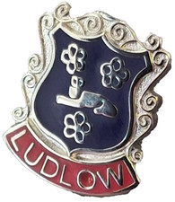 Ludlow Town Small Pin Badge