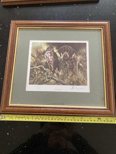 German short haired pointer - german,