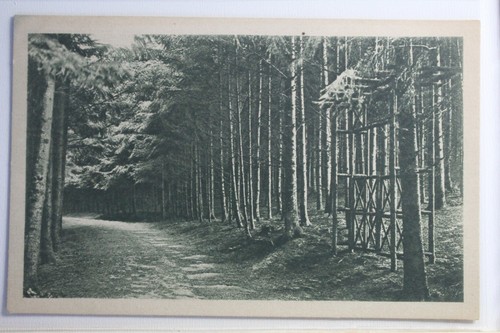 Postcard munich paul - postcard,