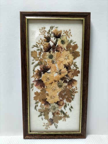 Vintage pressed dried flowers - vintage,