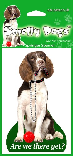 Springer spaniel dog - springer,