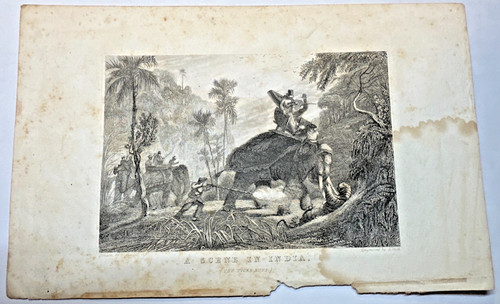 William daniell tiger - tiger, hunt