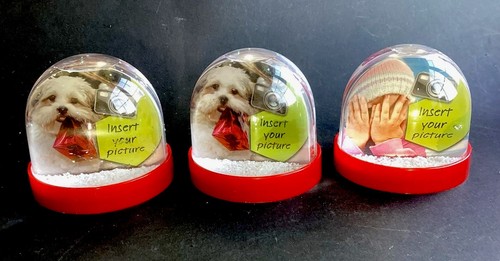 Photo christmas snow globes - photo,