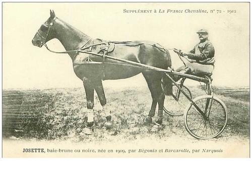 Horse racing 35967 - racing, josette