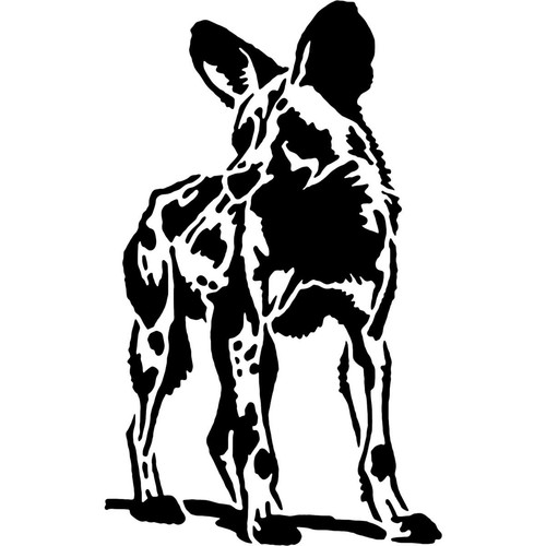 African wild dog standing - wild,