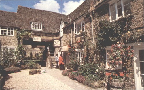 Vintage bear court - bear,