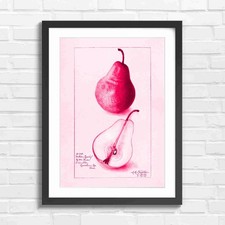 Wilder Early Pear Fruit