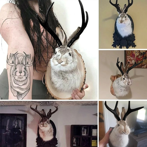 Rabbit wall mount head animal - mount,