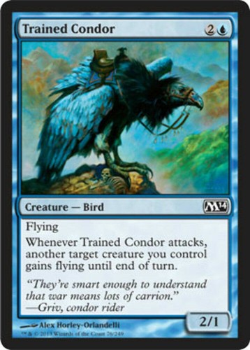 Trained condor magic 2014 - trained,