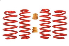 Suspension springs se EIBACH