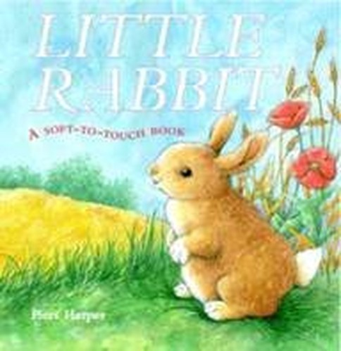 Little rabbit soft to touch - little, a
