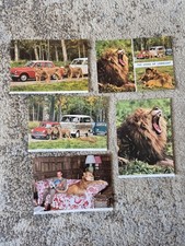Vintage longleat lions - vintage,
