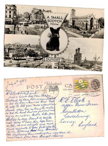 Vintage postcard multi view - postcard,