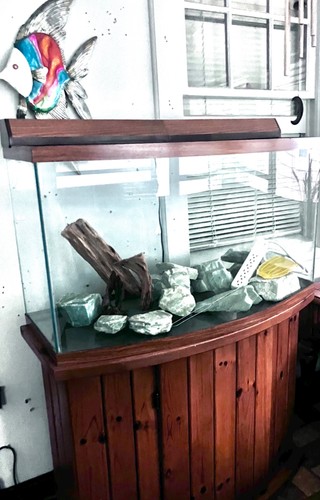 Gallon aquarium with pump - aquarium,