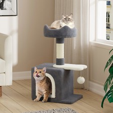 Small Cat Tree Post Climbing