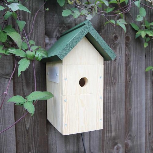 Rspb wireless nest box - nest, camera