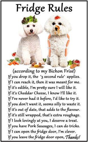 Bichon frise gift fridge - bichon,