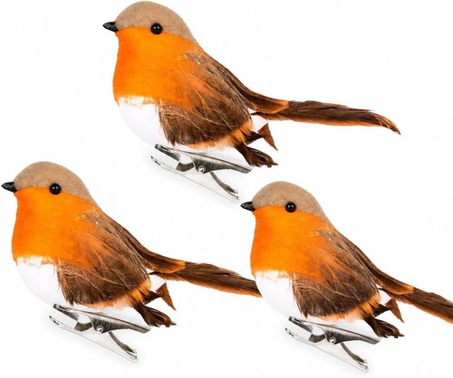 Pack christmas robin - robin, bird