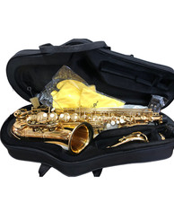 Alto saxophone set beginner - set,