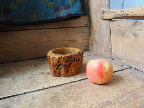 Fabulous early burr yew - a,