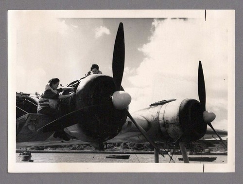 Short sunderland flying - sunderland,