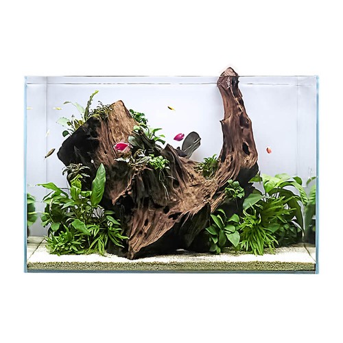 Swell glass aquarium 60cm - swell,