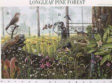 Nature Of America Longleaf Pine Forest Sheet FDC