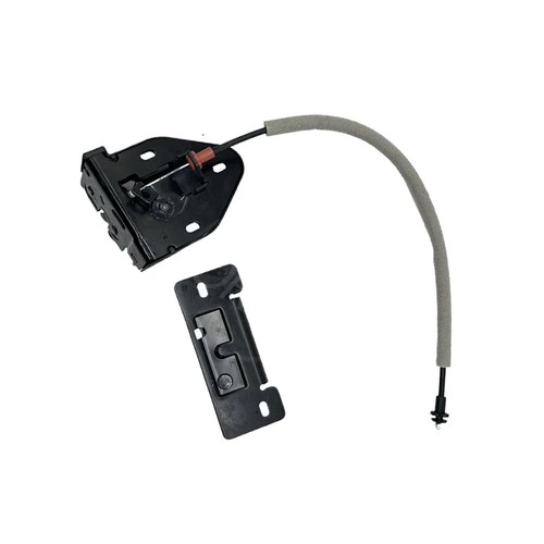 Rear door lower lock - lower, latch