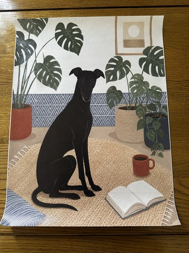 Boho black whippet greyhound - whippet,