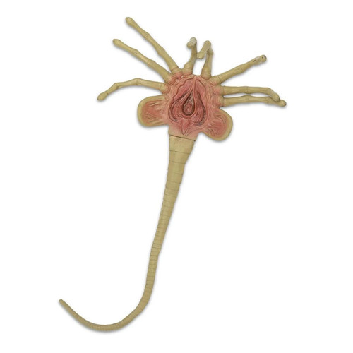 Neca alien facehugger 1 - facehugger, 1/1