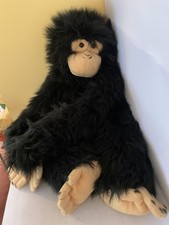 Monkey Chimpanzee Chimp Large