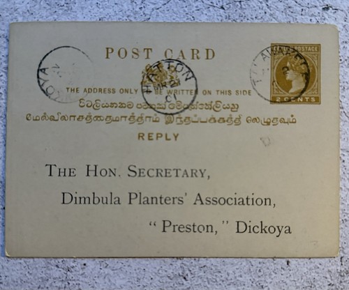 1901 ceylon tea estate - ceylon,