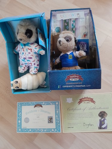 Meerkat bundle bogdan - meerkat, baby