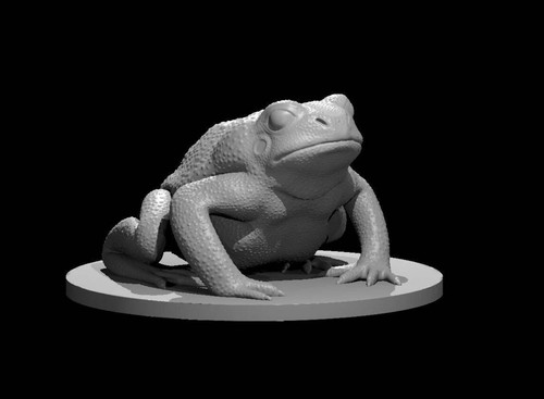 Giant toad for - giant, d&d