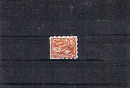 British guiana gvi top - gvi, $3