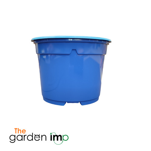Coloured plant pots plastic - coloured,