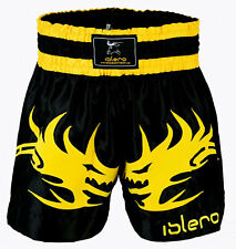 ISLERO Muay Thai Cage Fight