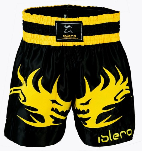 Islero muay thai cage fight - cage,