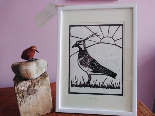Bird lapwing black lino - bird, print