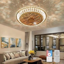 Ceiling Fans with Lights and