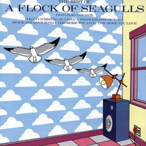 Flock seagulls the best - -,
