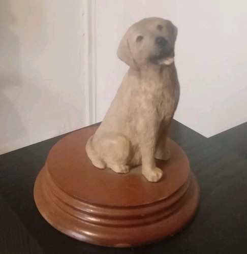 Leonardo collection labrador - collection,