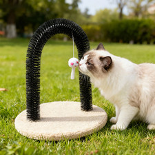 Cat Grooming Arch Kitten Pet