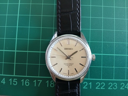 Seiko sea lion - seiko,