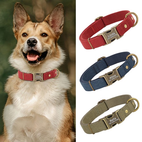 Durable nylon personalised dog - nylon,