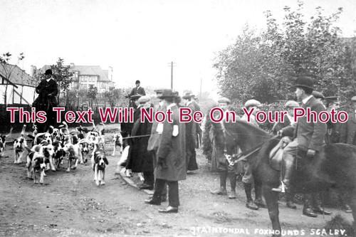 6643 staintondale fox - 6643,