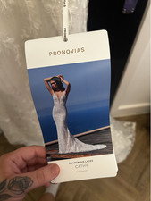 Pronovias Cathy wedding dress