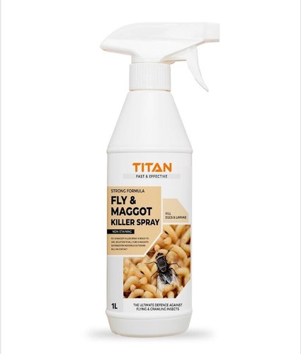 Powerful fly maggot killer - fly,