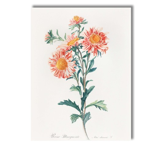 Canvas wall art decor picture - canvas,