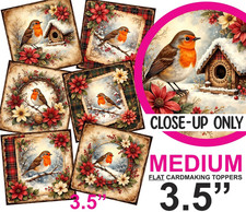 Christmas Robins Card Toppers
